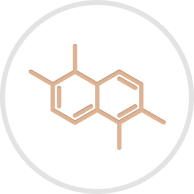 Carbon Cycle Icon